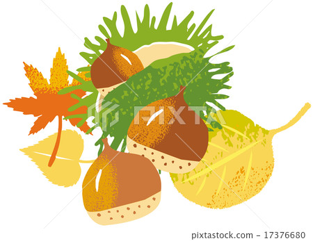 秋葉栗子 秋葉栗子 17376680