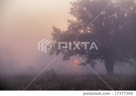 September on the river Neman September on the river Neman 17377309