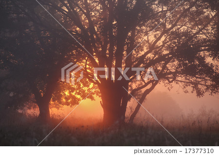 September on the river Neman 17377310