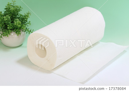廚房用紙 17378084
