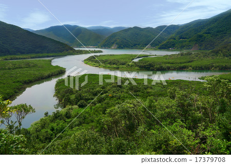 Amami Oshima Sumiyo Mangrove Forest 17379708