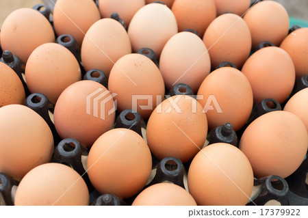 fresh organic eggs from chicken farm agriculture 17379922