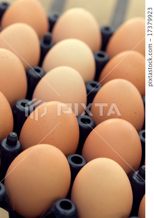 fresh organic eggs from chicken farm agriculture fresh organic eggs from chicken farm agriculture 17379923