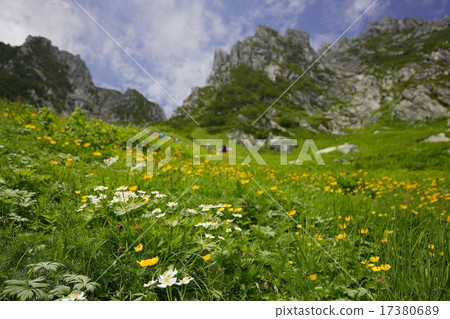高山的花園 高山的花園 17380689