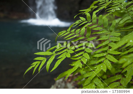 瀑布滴 17380994