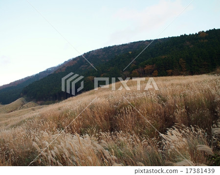 箱根(仙石原)的風景 箱根(仙石原)的風景 17381439