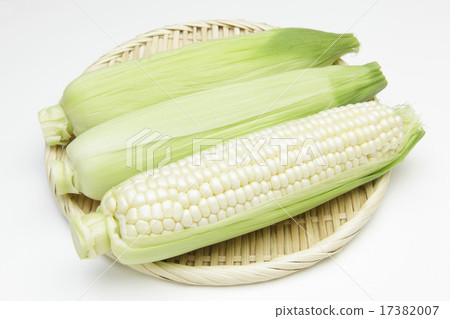 來自北海道的白玉米 來自北海道的白玉米 17382007