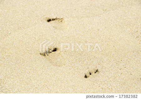 Cute footprints in the sand 17382382