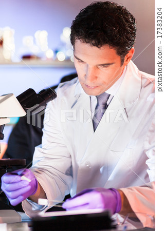Life scientist researching in the laboratory. Life scientist researching in the laboratory. 17383204