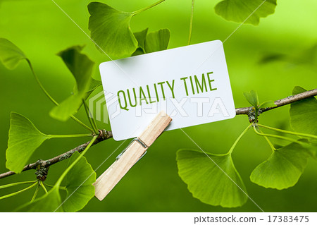 The Word "Quality Time“ in a Ginkgo Tree The Word "Quality Time“ in a Ginkgo Tree 17383475