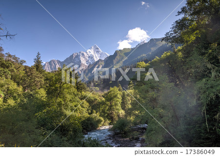Four girls' mountain summer 17386049