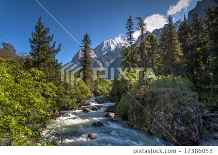Four girls' mountain summer 17386053