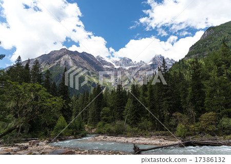 Four mothers' girl mountain wood screws 17386132