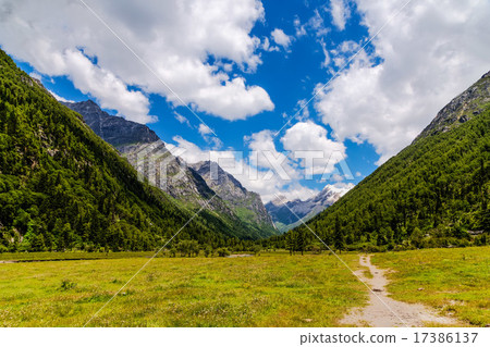 Four mothers' girl mountain wood screws 17386137