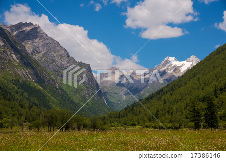 Four mothers' girl mountain wood screws 17386146