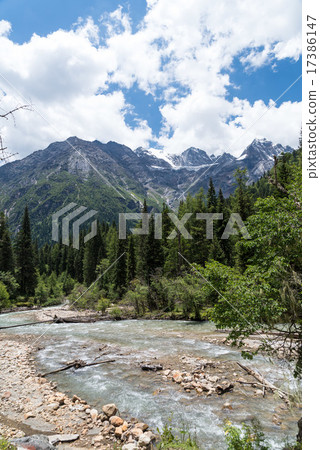 四個母親的女孩山木頭螺絲 17386147