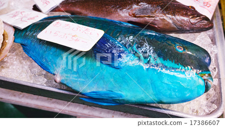 沖繩的海鮮 17386607