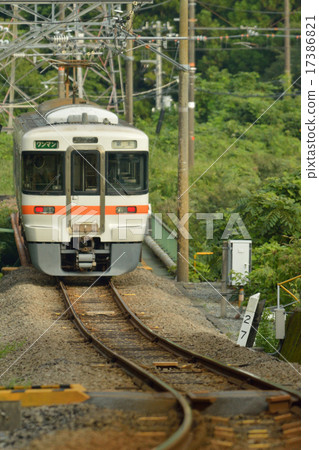 313系列火車穿越佐野河 313系列火車穿越佐野河 17386821