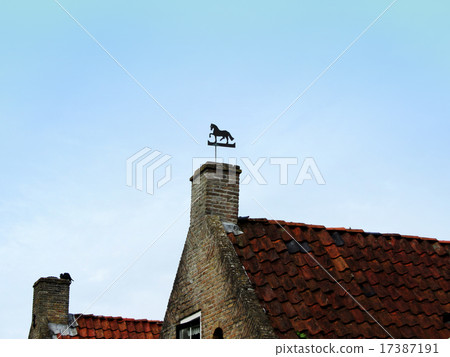 Horse Weather Vane Vertical image on Top of Home 17387191