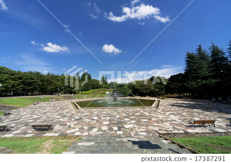世田谷公園 世田谷公園 17387291