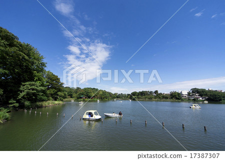 Senjogaike公園 17387307