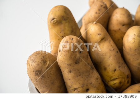 Self-cultivated Potato Self-cultivated Potato 17388909