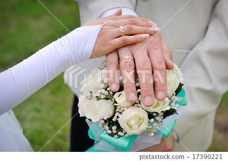 hand the bride and groom with rings 17390221