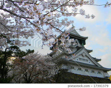 Castle and cherry blossoms 17391379