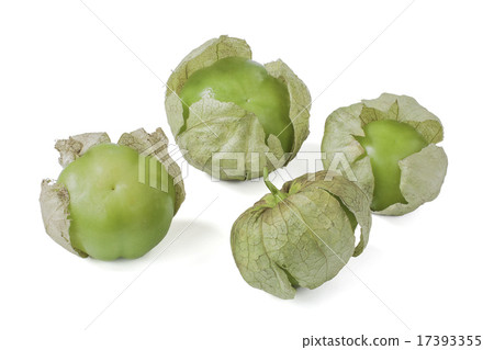 Tomatillo on white background Tomatillo on white background 17393355