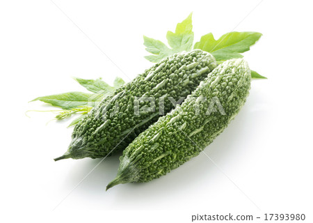 Bitter gourd 17393980