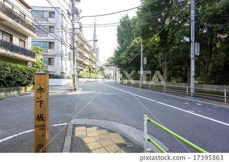 Kinoshita Saka 17395863