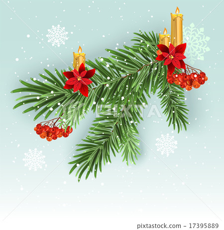 Christmas tree branch decoration. Green lush spruce branch. Fir branches Christmas tree branch decoration. Green lush spruce branch. Fir branches 17395889