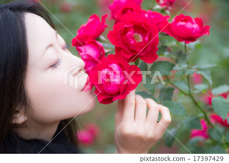 玫瑰女性肖像 玫瑰女性肖像 17397429