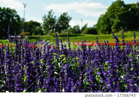 哈納10噸 17398743