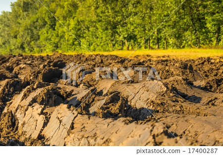 Arable land  17400287