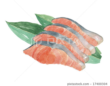 Red salmon fillet 17400304