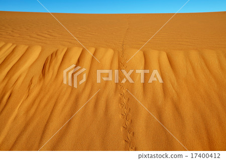 Sand dunes in the Sahara Desert Sand dunes in the Sahara Desert 17400412