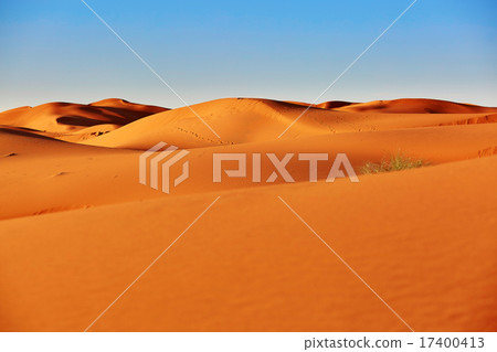 Sand dunes in the Sahara Desert 17400413