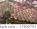 紅瓦和Kanhisakura 17400791