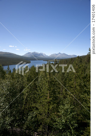 Lake in the forest, Sohlbergplassen - Rondane 17401406