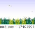綠色和蜻蜓 17401904