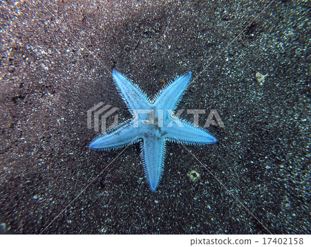 Moving earthworm 17402158