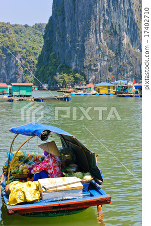 Boat of fruit seller at Halong bay, Vietnam 17402710