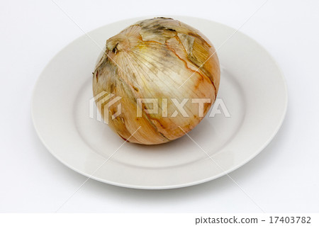 onion  onion  17403782