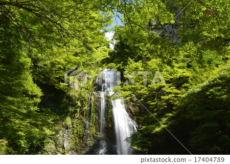 [Osaka Prefecture] Minoh Waterfall (100 Selected Waterfalls in Japan) 17404789