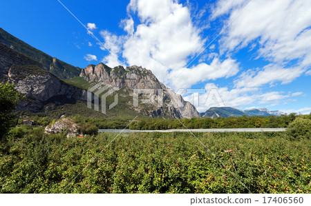 Apple Orchards in Sarca Valley - Trentino Italy 17406560