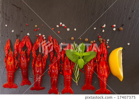 Crayfish Crayfish 17407375