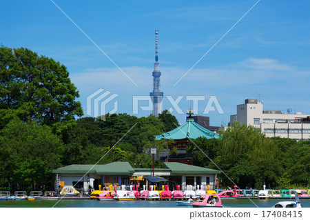 休閒船和東京天空樹在上野的二宮池塘 17408415