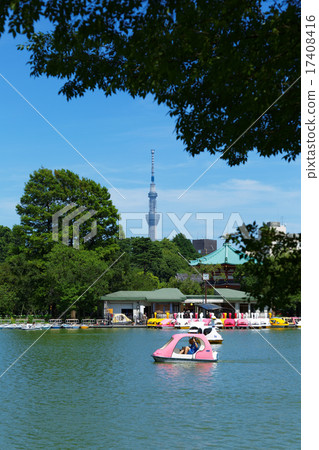 休閒船和東京天空樹在上野的二宮池塘 17408416