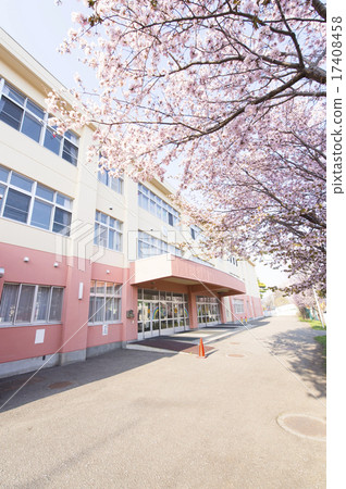 學校和櫻花 17408458